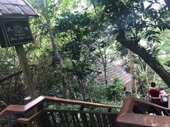 -亚龙湾热带天堂森林公园