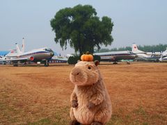 -中国航空博物馆
