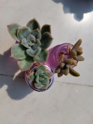 -尚艺造型.剪烫染.接发