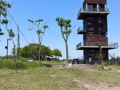 -春花秋色城市公园