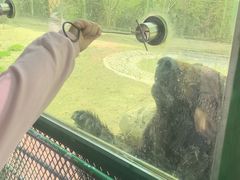 -五龙山野生动物王国