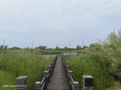 -嘉北郊野公园