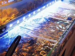 -星伦多自助料理(宝山龙湖天街店)