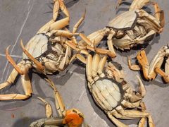 -一方渔歌蒸汽海鲜自助(文化路万达广场店)