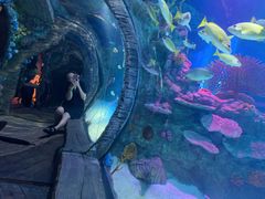 -沈阳海洋探索中心