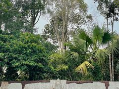 -中国科学院西双版纳热带植物园
