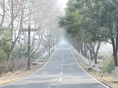-宜兴龙背山森林公园