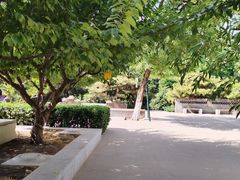 -宣武艺园