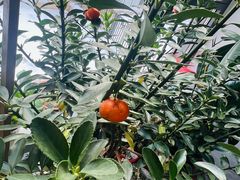 -鼎宏干锅牛肉(富城时代店)