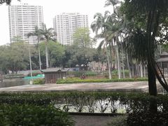 -荔湾湖公园
