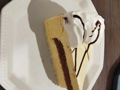 -有猫主题·治愈系猫咖(曾厝垵店)