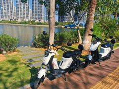 -五缘湾湿地公园