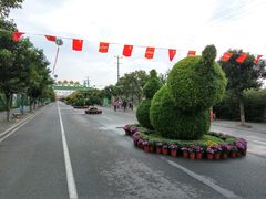 -兰陵国家农业公园