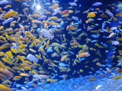 -成都浩海立方海洋公园