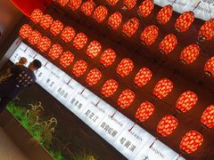 -7号院家宴.烧鸽子(门头沟店)