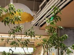 -堂本家洋食别馆·炸猪排(中心城店)