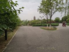 -永定河休闲森林公园