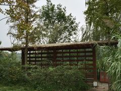 -白鹭湾湿地公园