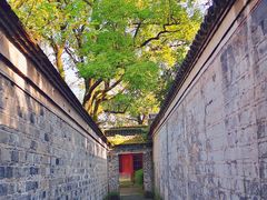 -天一阁博物院