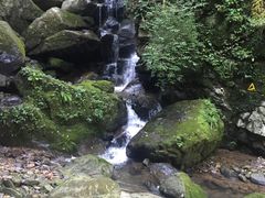 -藏龙百瀑风景区