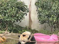 -黔灵山公园