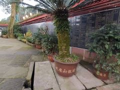 -峨眉山报国寺