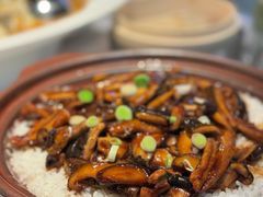 -桂满陇·海市蜃楼·黑金(国金店)