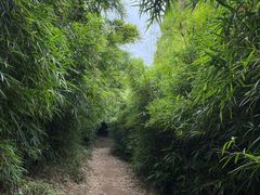 -大罗山风景区