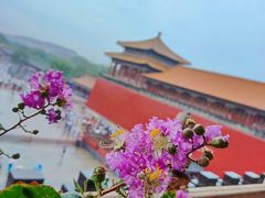 -故宫博物院(故宫)
