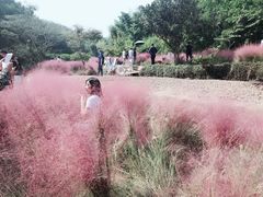 -宁波浙东大竹海景区