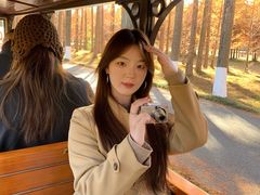 -黄海国家森林公园