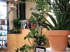 -PlantsEatery·植物食堂(REX春熙店)