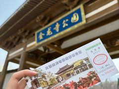 -金龙寺国家森林公园