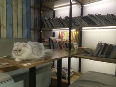 -小时光咖啡馆(开森度假森林店)