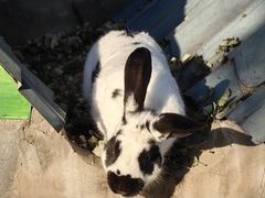 -北京鹿世界主题园