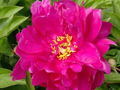 -黑龙江省森林植物园