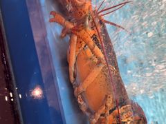 -阿伟海鲜楼·福建菜(延寿店)