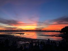 -宝安西湾红树林湿地公园