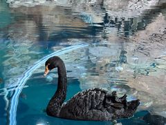 -上海海洋水族馆