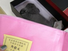 -北京观赏动物医院·24小时大型综合·猫专科·异宠专科