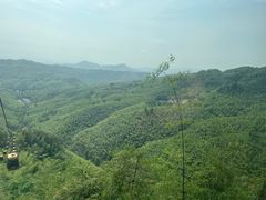 -蜀南竹海景区