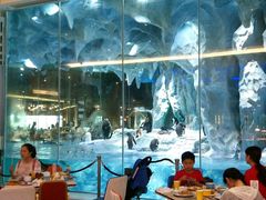 -长隆海洋王国自助餐厅(横琴湾店)