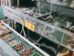 水产区-麻屋手抓海鲜(防城港总店)