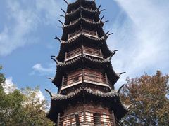 -上海佘山国家森林公园西佘山园