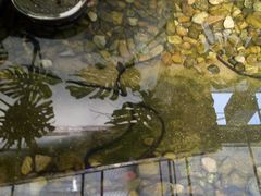 -龙达温泉生态城