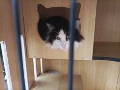 点击看大图 -P.STYLE 派斯造型