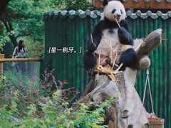 -广州动物园