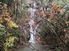 -宁波市保国寺古建筑博物馆