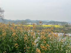 -婺源月亮湾