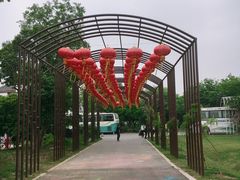 -鹅湖玫瑰文化园